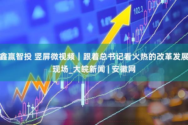 鑫赢智投 竖屏微视频｜跟着总书记看火热的改革发展现场_大皖新闻 | 安徽网