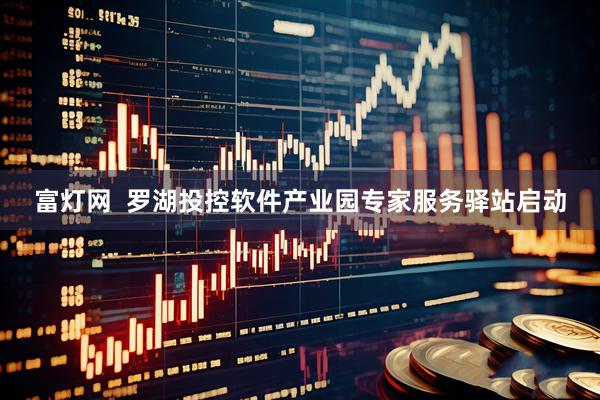 富灯网  罗湖投控软件产业园专家服务驿站启动