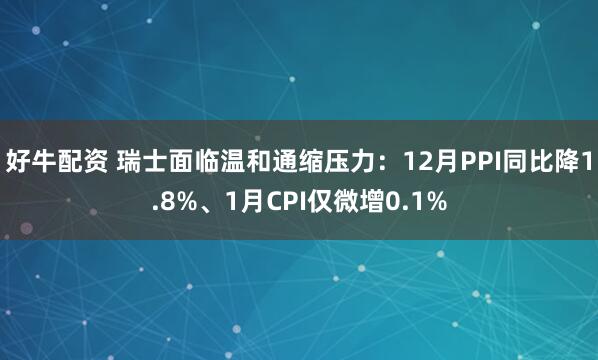 好牛配资 瑞士面临温和通缩压力：12月PPI同比降1.8%、1月CPI仅微增0.1%